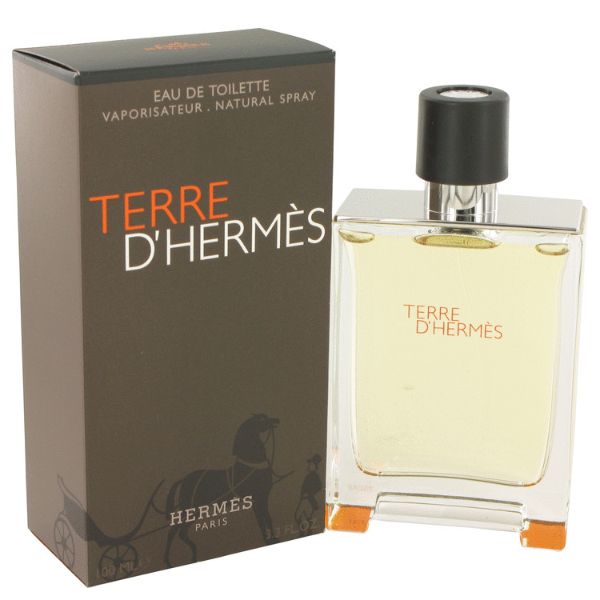 Hermes Terre D`Hermes EDT M 100ml (Tester) ET